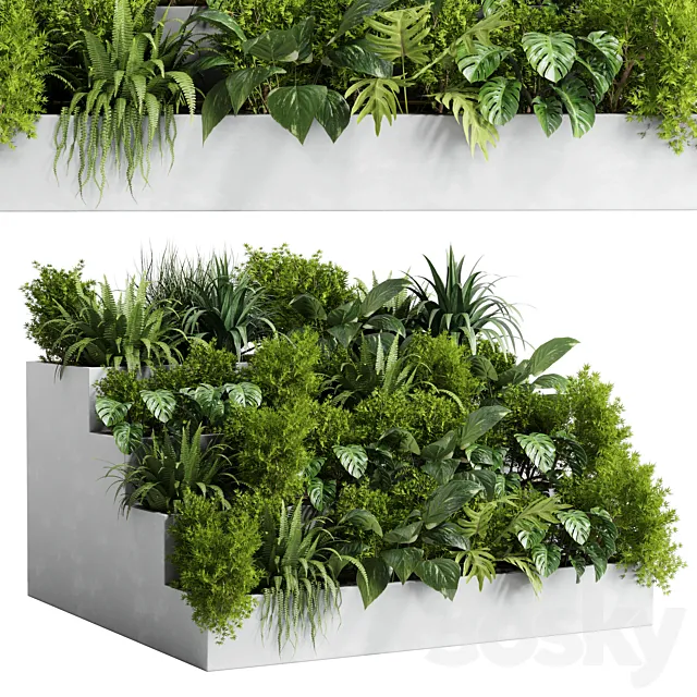 Collection outdoor indoor plant 54 stairs concrete vase pot fern bush grass ficus rubbery 3DModel Collection outdoor indoor plant 54 stairs concrete vase pot fern bush grass ficus rubbery 3DModel