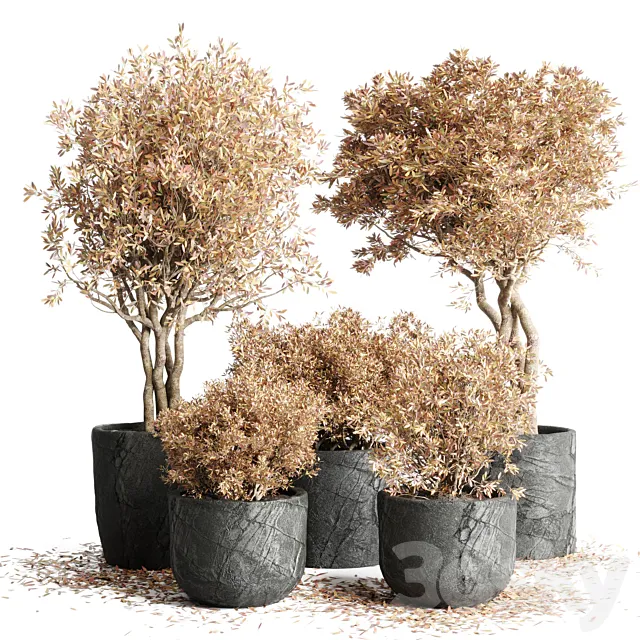 collection Outdoor Indoor plant 64 dirty stone pots dry tree autumn plants corona 3D Model collection Outdoor Indoor plant 64 dirty stone pots dry tree autumn plants corona 3D Model
