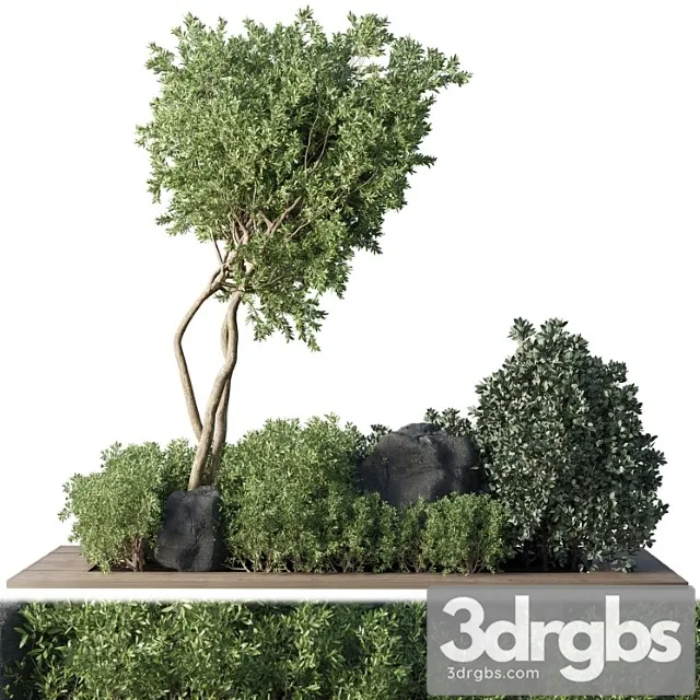 Collection outdoor indoor plant 67 Green garden plant-tree-bush corona Collection outdoor indoor plant 67 Green garden plant-tree-bush corona