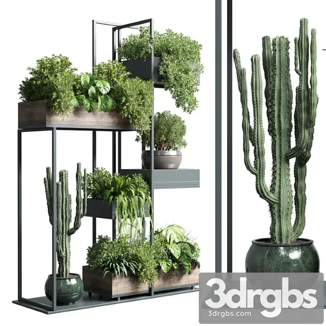 Collection outdoor indoor plant stand-metal and wooden vase 13 Collection outdoor indoor plant stand-metal and wooden vase 13