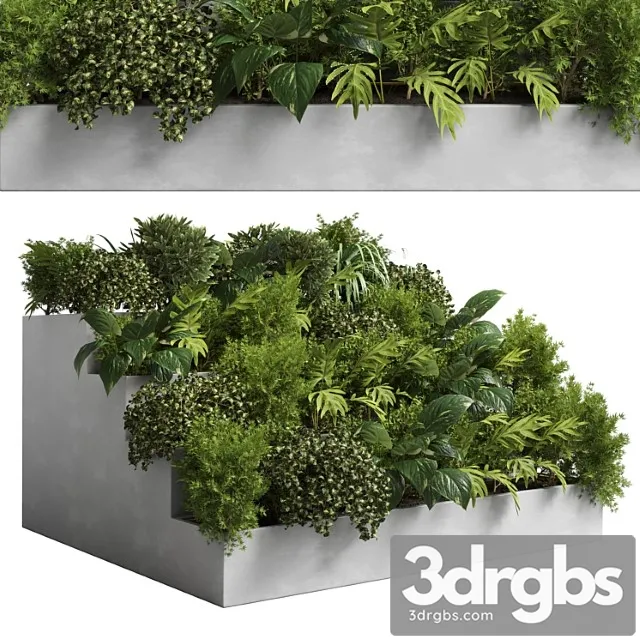 Collection outdoor plant 22 – stairs concrete vase Collection outdoor plant 22 – stairs concrete vase