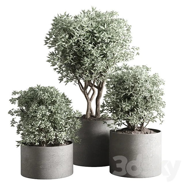 collection outdoor plant 24 concrete vase 3D Model collection outdoor plant 24 concrete vase 3D Model