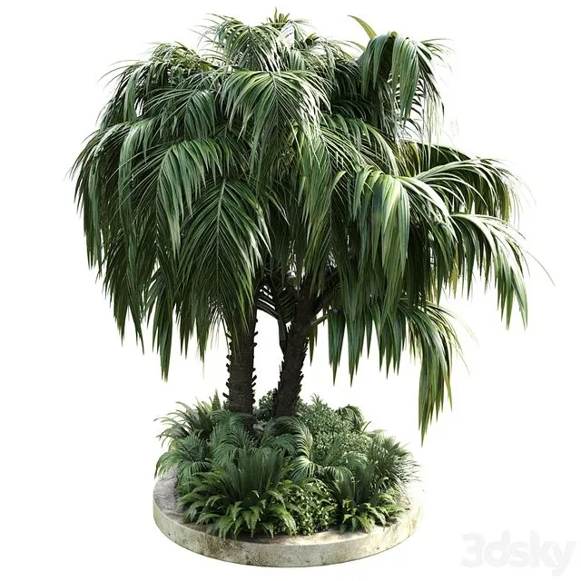 Collection Outdoor plant 39 3D Model Collection Outdoor plant 39 3D Model