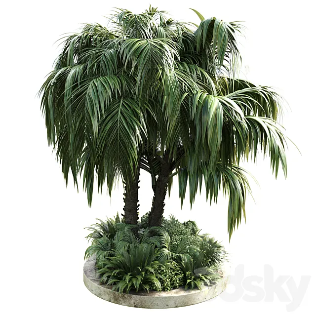 Collection Outdoor plant 39 in garden pot tree palm bush fern concrete dirt old vase 3D Model Collection Outdoor plant 39 in garden pot tree palm bush fern concrete dirt old vase 3D Model