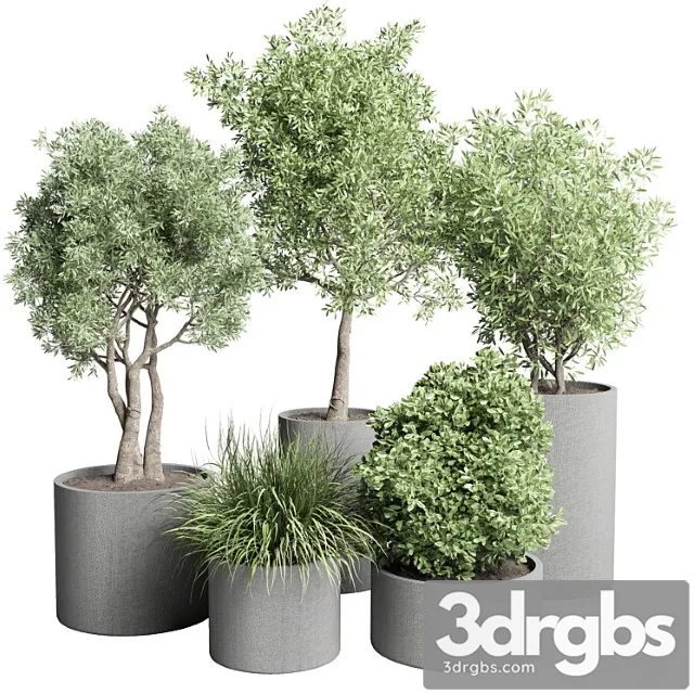 Collection outdoor plant 46- concrete vase pot tree and grass bush Collection outdoor plant 46- concrete vase pot tree and grass bush