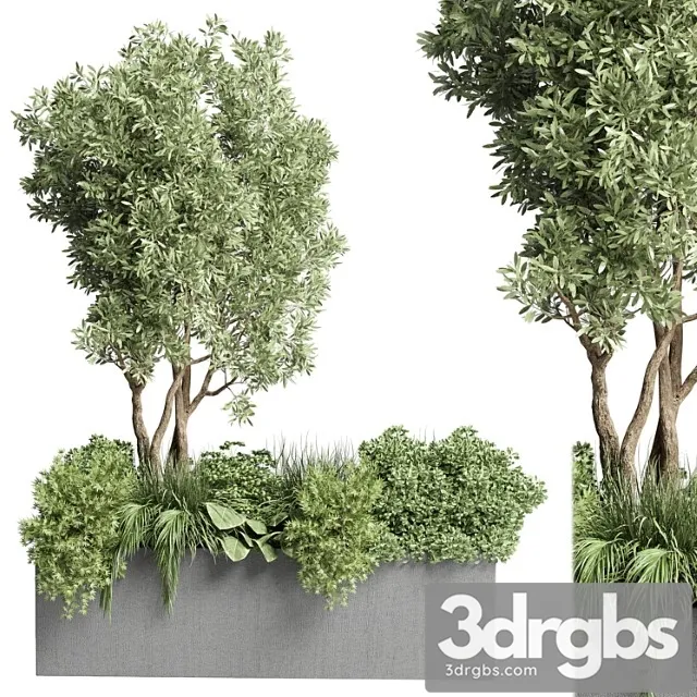 Collection outdoor plant 47-garden concrete vase bax pot tree and grass bush palm Collection outdoor plant 47-garden concrete vase bax pot tree and grass bush palm