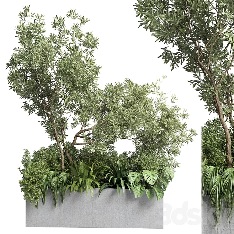 Collection outdoor plant 68 pot plant bush grass and tree and palm concrete vase bax 3D Model