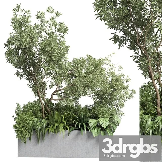 Collection outdoor plant 68 pot plant bush grass and tree and palm concrete vase bax Collection outdoor plant 68 pot plant bush grass and tree and palm concrete vase bax