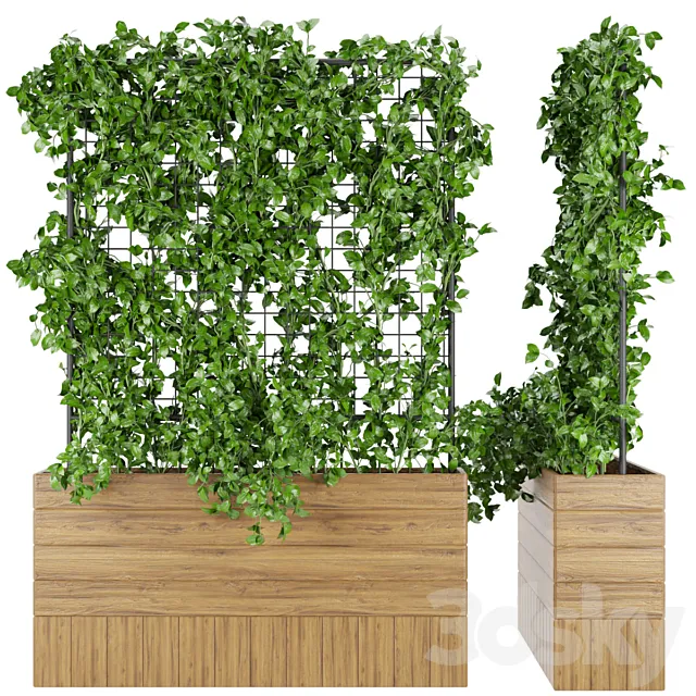 Collection plant vol 102 3D Model