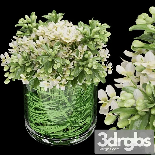 Collection Plant Vol 123 3D Model Download Collection Plant Vol 123 3D Model Download