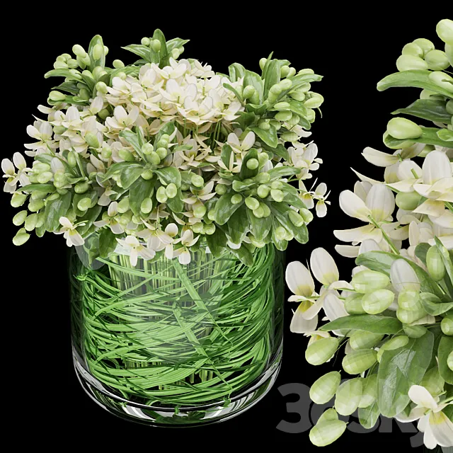 Collection plant vol 123 3D Model Collection plant vol 123 3D Model