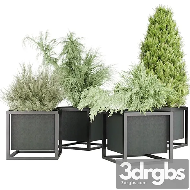 Collection plant vol 14 Collection plant vol 14