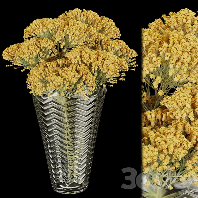 Collection plant vol 160 3D Model Collection plant vol 160 3D Model