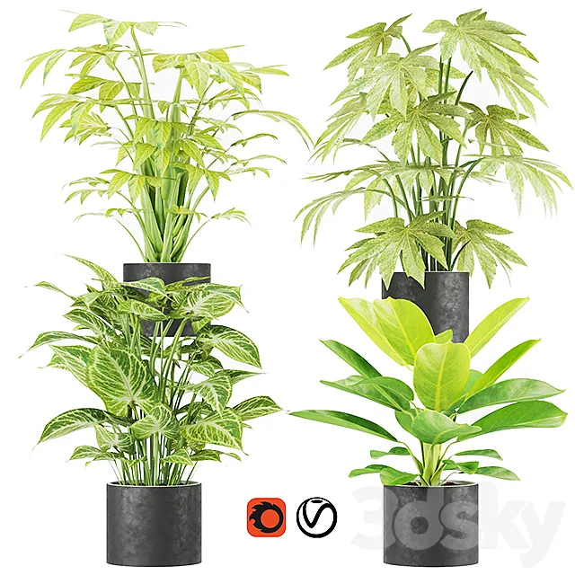 Collection plant vol 2 3D Model