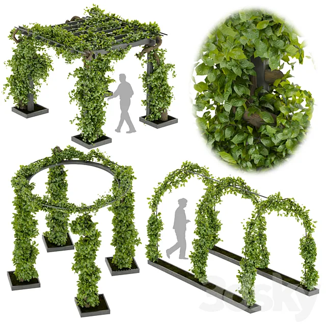 Collection plant vol 269 -Fitowall – garden – ertical 3D Model Collection plant vol 269 -Fitowall – garden – ertical 3D Model