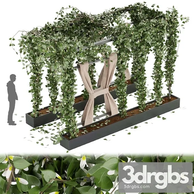 Collection plant vol 28 Collection plant vol 28