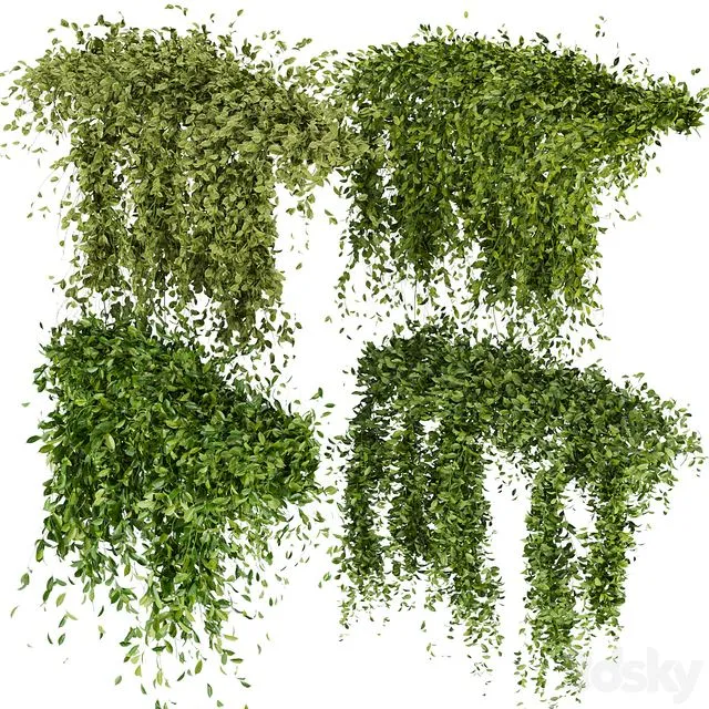 Collection Plant Vol 293 – Fitowall – Leaf – Ivy 3D Model Collection Plant Vol 293 – Fitowall – Leaf – Ivy 3D Model
