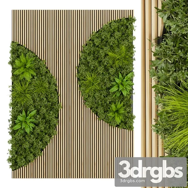 Collection plant vol 331 – fitowall – leaf Collection plant vol 331 – fitowall – leaf