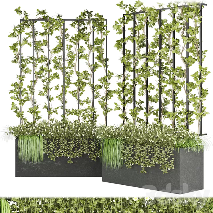 Collection plant vol 36 3D Model Collection plant vol 36 3D Model