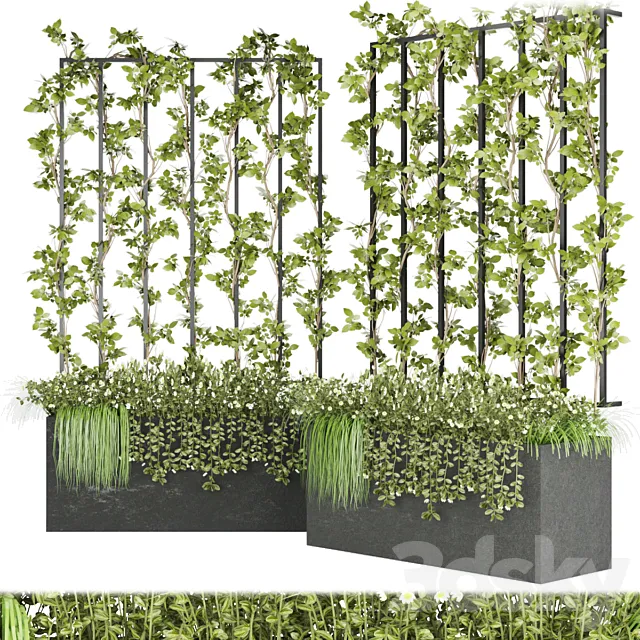 Collection plant vol 36 3DModel