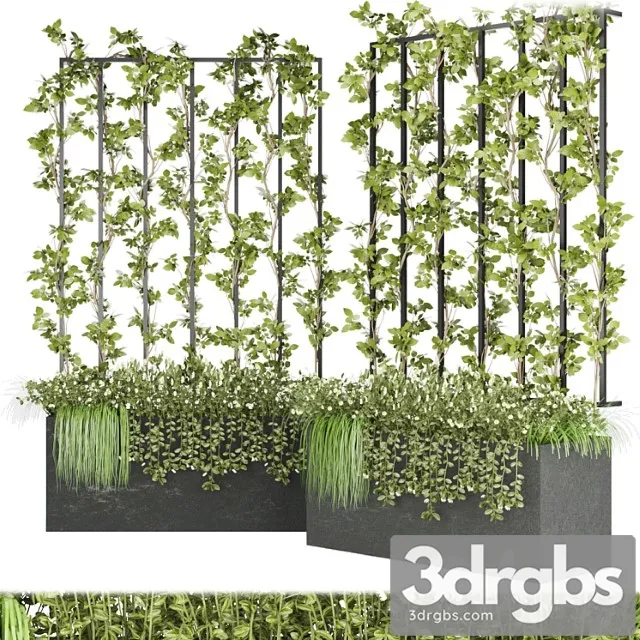 Collection plant vol 36 Collection plant vol 36