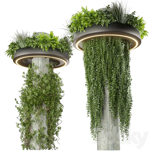 Collection plant vol 532 – bush – ampelous – column – fitowall – ivy 3D Model Collection plant vol 532 – bush – ampelous – column – fitowall – ivy 3D Model