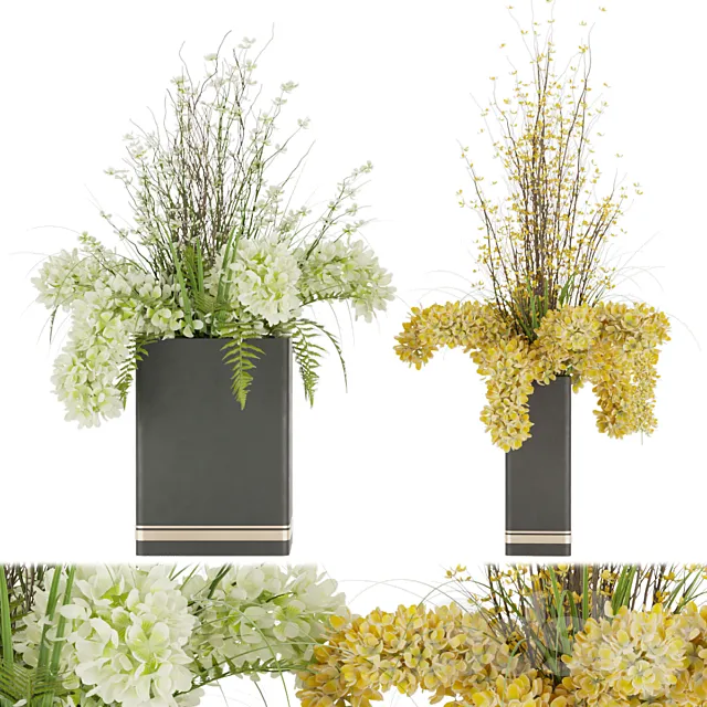 Collection plant vol 56 3D Model Collection plant vol 56 3D Model