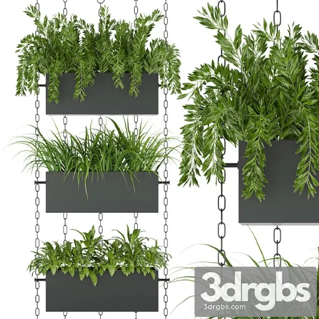 Collection plant vol 85 Collection plant vol 85