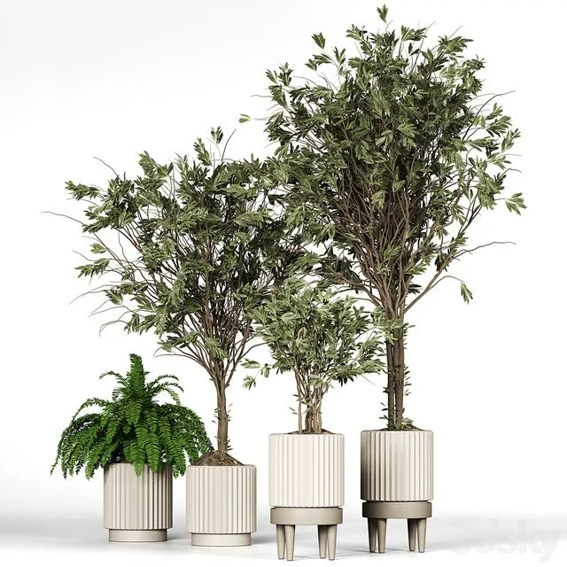 Collection_plant_05 3D Model Collection_plant_05 3D Model