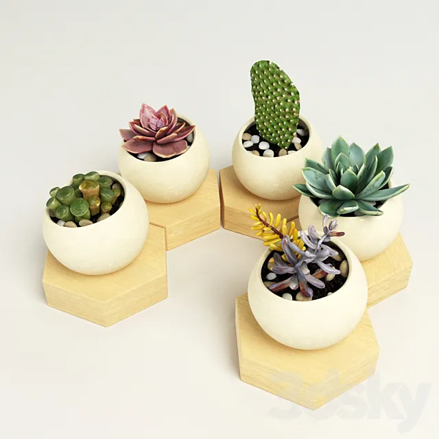 color set 2 3DModel color set 2 3DModel