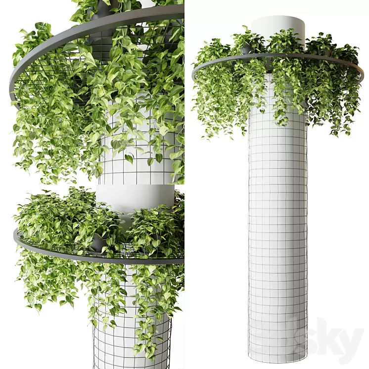 Column with hanging plants (epipremnum) 3D Model Free Download Column with hanging plants (epipremnum) 3D Model Free Download