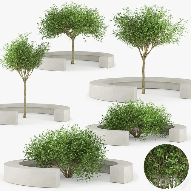 COMB BY VORA ARQUITECTURA Tree Bench 3D Model COMB BY VORA ARQUITECTURA Tree Bench 3D Model