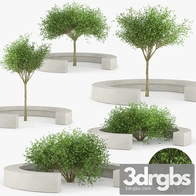 Comb By Vora Arquitectura Tree Bench 3D Model Download Comb By Vora Arquitectura Tree Bench 3D Model Download