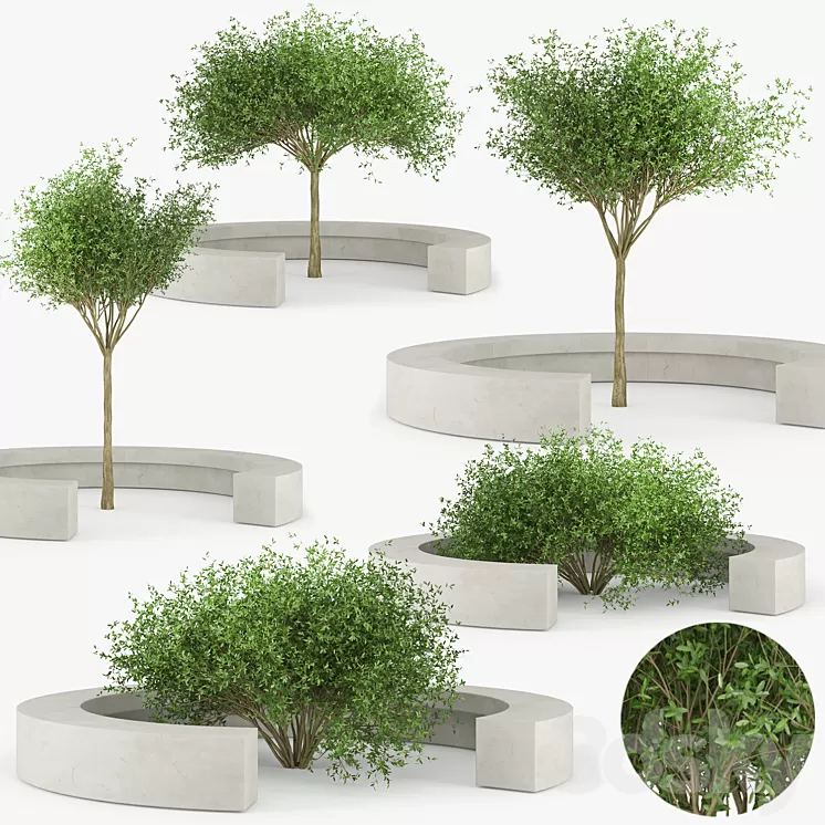 COMB BY VORA ARQUITECTURA Tree Bench 3D Model