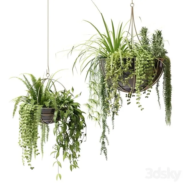 Compositions of ampelous plants in hanging pots # 2 3D Model