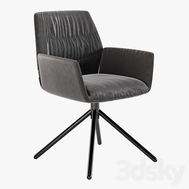 Concepto boston 3D Model Concepto boston 3D Model