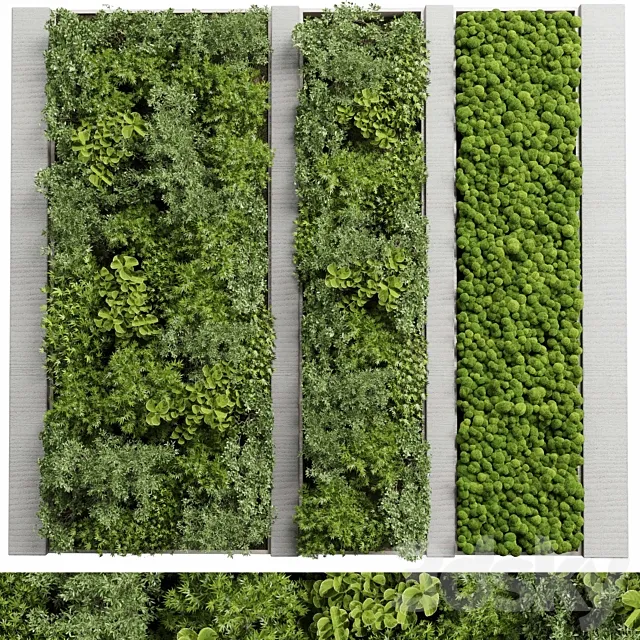 Concrete frame Vertical garden plant and moss garden wall decor box 66 3D Model Concrete frame Vertical garden plant and moss garden wall decor box 66 3D Model