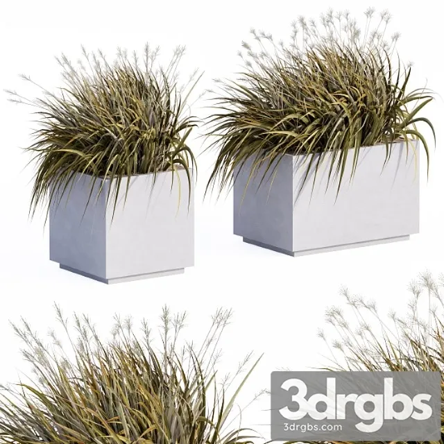 Concrete plants box Concrete plants box