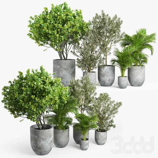 Concrete set plants 3D Model