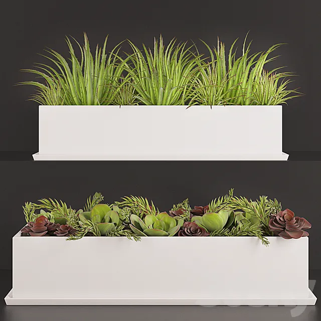 Contemporary houseplants 3DModel Contemporary houseplants 3DModel