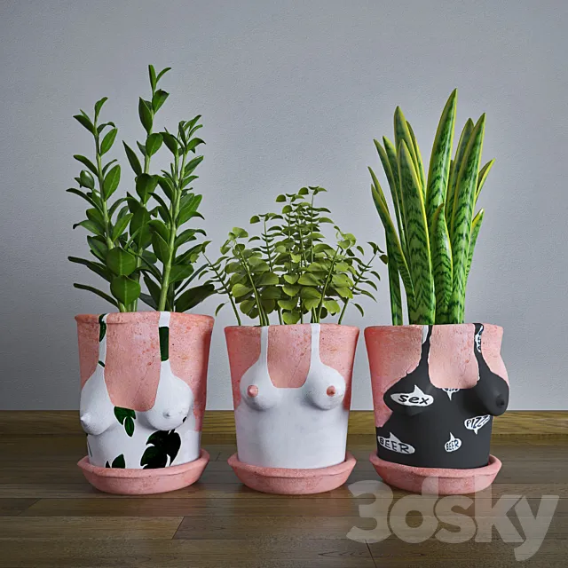 contest 3DModel contest 3DModel