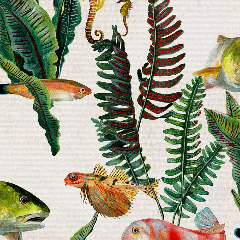 Coordonné – Wallpaper Bank of Fish 3D Model Coordonné – Wallpaper Bank of Fish 3D Model