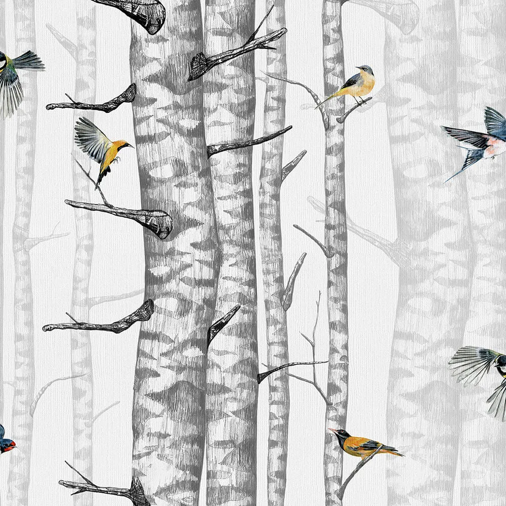 Coordonné – Wallpaper Birch Trees 3D Model Coordonné – Wallpaper Birch Trees 3D Model