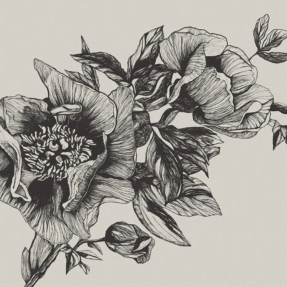 Coordonné – Wallpaper Giant Peonies 3D Model Coordonné – Wallpaper Giant Peonies 3D Model