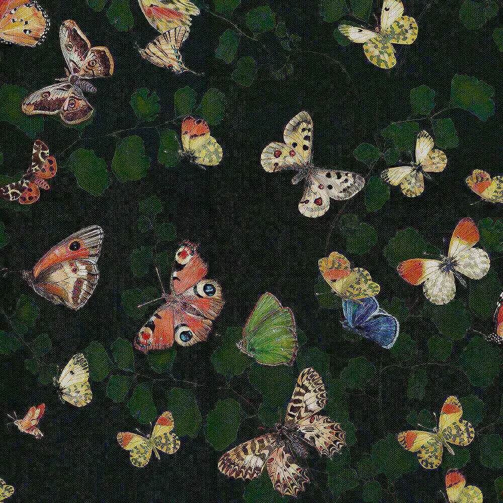 Coordonné – Wallpaper Magic butterflies 3D Model Coordonné – Wallpaper Magic butterflies 3D Model