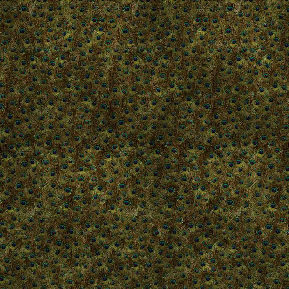 Coordonné – Wallpaper Peafowl 3D Model Coordonné – Wallpaper Peafowl 3D Model