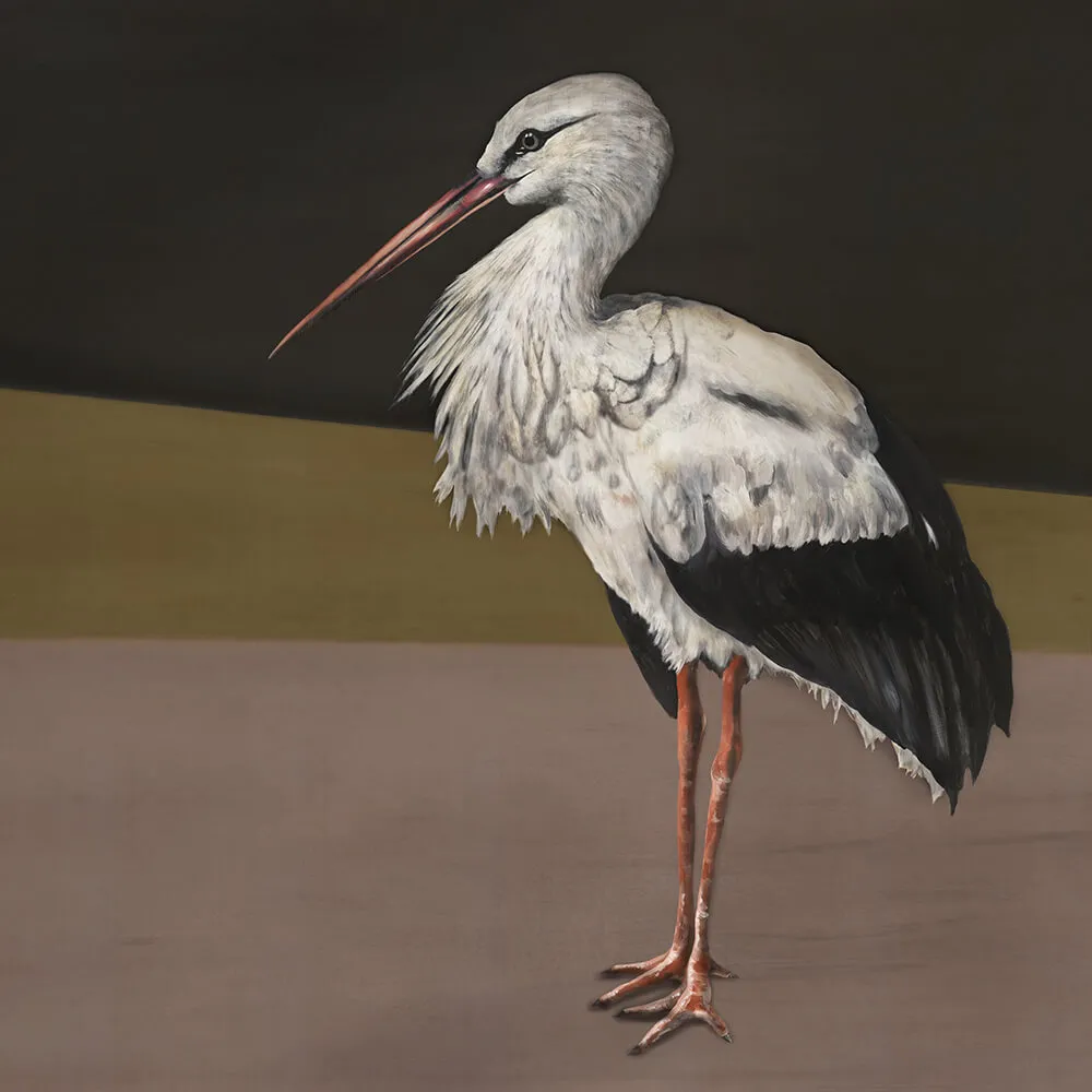 Coordonné – Wallpaper Stork Mother 3D Model Coordonné – Wallpaper Stork Mother 3D Model