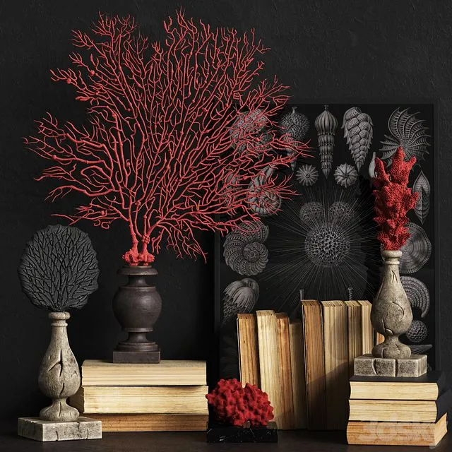 Coral Set 2 3D Model