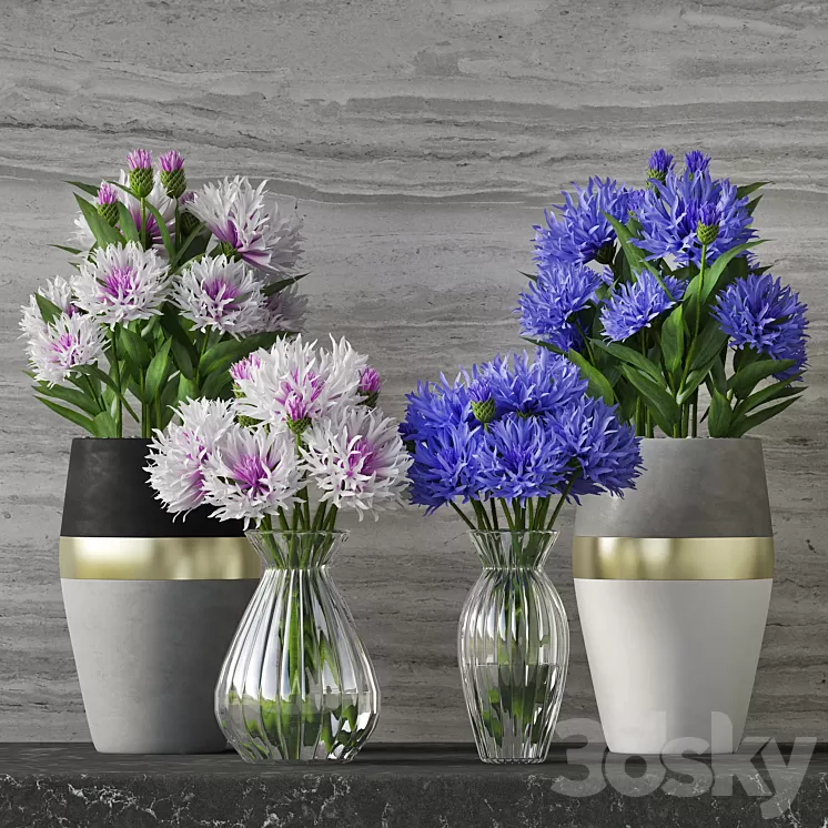 Cornflower Set 3D Model