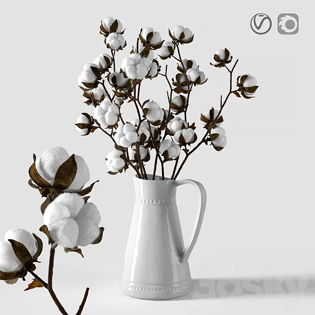 Cotton in a jug 3DModel
